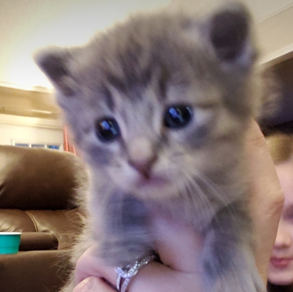 Meet your Posher, Amy
